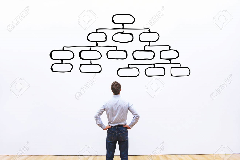 The importance of the Organization Chart in a Company
